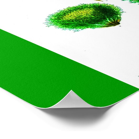 Poster-chemicaliën-sla Poster (Hoek)