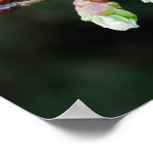 Poster Cherry Tree Buds (Hoek)