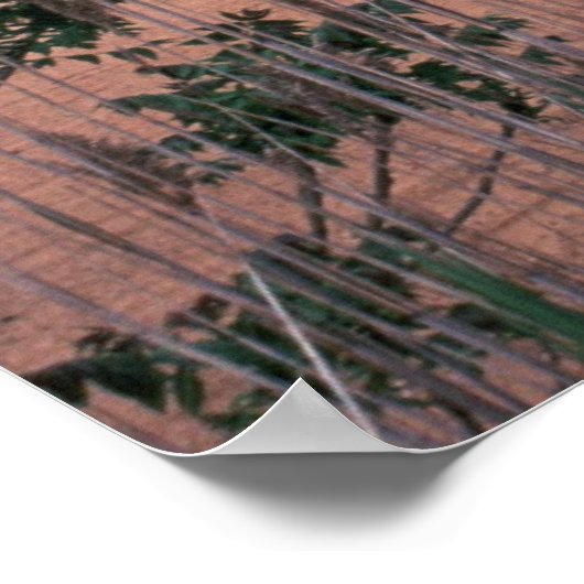 Poster / Chesapeak Bay Bridge (Hoek)