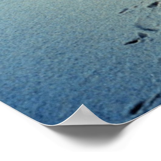 Poster / Chesapeake Bay Vrouw Blauwe krab (Hoek)