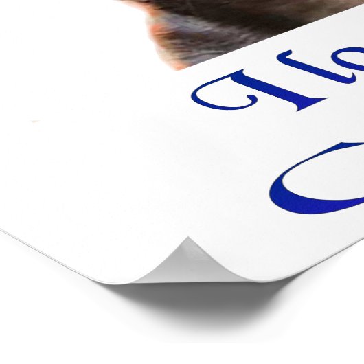 Poster Chihuahua (Hoek)