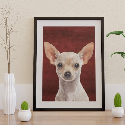 Poster Chihuahua