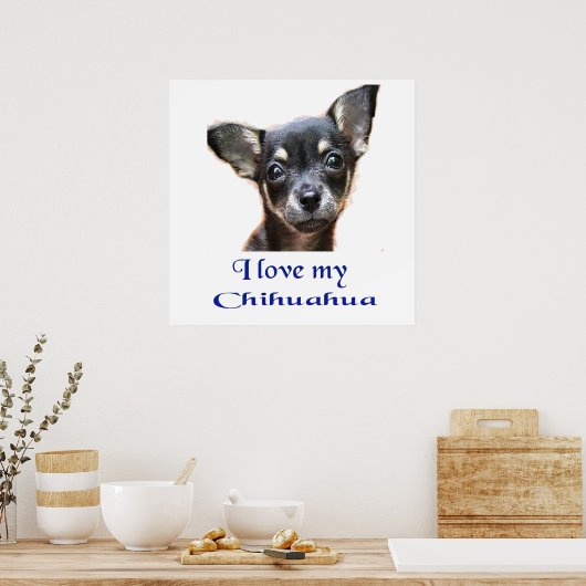 Poster Chihuahua (Keuken)