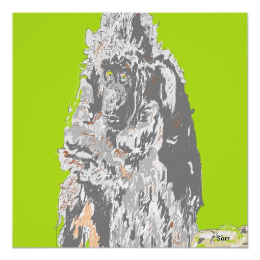 Poster Chimpansee (Voorkant)