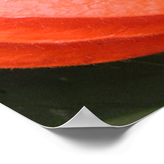 Poster Chinese lantaarn (Hoek)