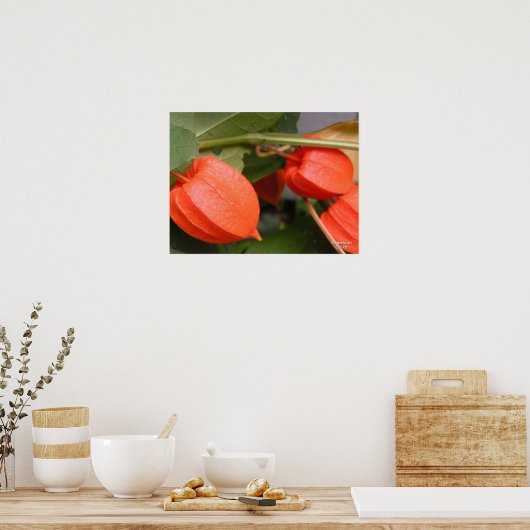 Poster Chinese lantaarn (Keuken)