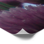 Poster - Chives Afbeelding 1 (Hoek)