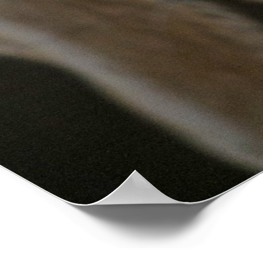 Poster Chocolade Lab Eyes (Hoek)