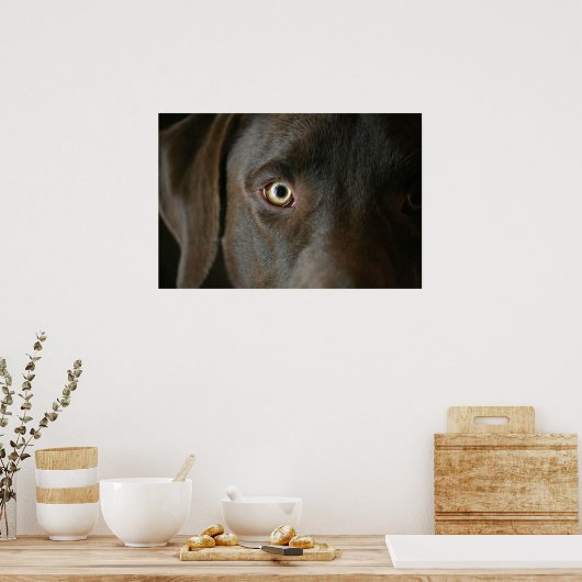 Poster Chocolade Lab Eyes (Keuken)