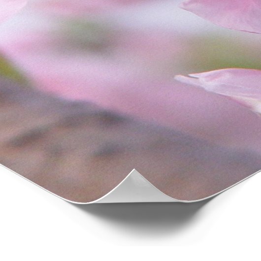 Poster Christelijk Gezegde (Hoek)