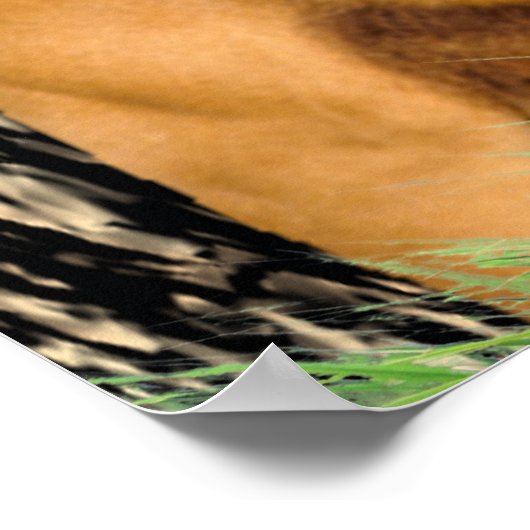 poster Christelijke scripts (Hoek)