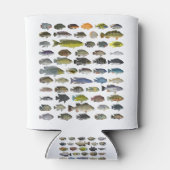 Poster Cichlid Group Blikjeskoeler (Achterkant)