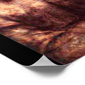 Poster-Classic/-Leonardo da Vinci 1 Poster (Hoek)