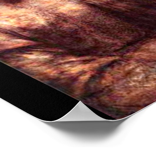 Poster-Classic/-Leonardo da Vinci 1 Poster (Hoek)