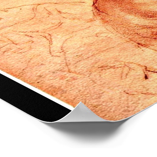 Poster-Classic/-Leonardo da Vinci 6 Poster (Hoek)