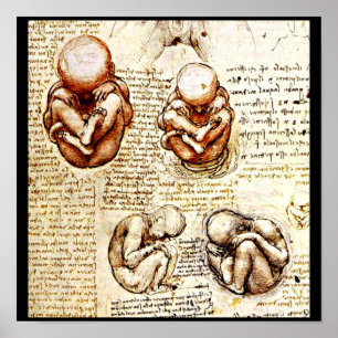 Poster-Classic/-Leonardo da Vinci 9 Poster