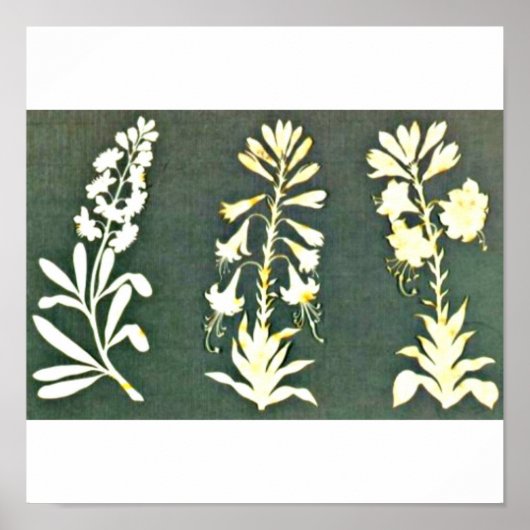 Poster-Classic/-Philipp Otto Runge 3 Poster (Voorkant)