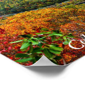 Poster Colorful herfst in West-Virginia (Hoek)