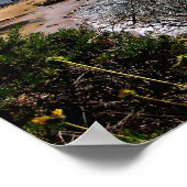 poster - Corona del Mar cove (Hoek)