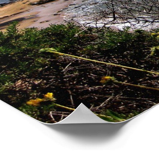 poster - Corona del Mar cove (Hoek)