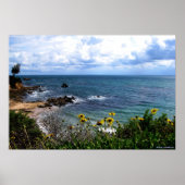 poster - Corona del Mar cove (Voorkant)