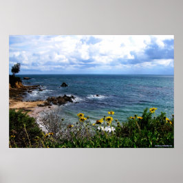 poster - Corona del Mar cove
