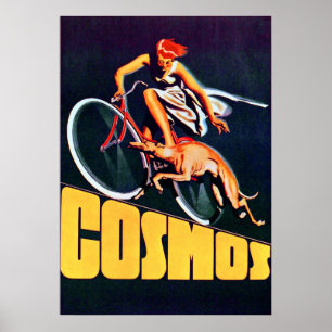 Poster Cosmos Bicycle