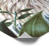 Poster Curios Koala (Hoek)