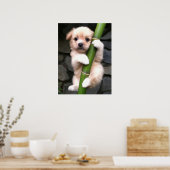 Poster Cute Puppy Gaejook 개 죽 이 (Keuken)