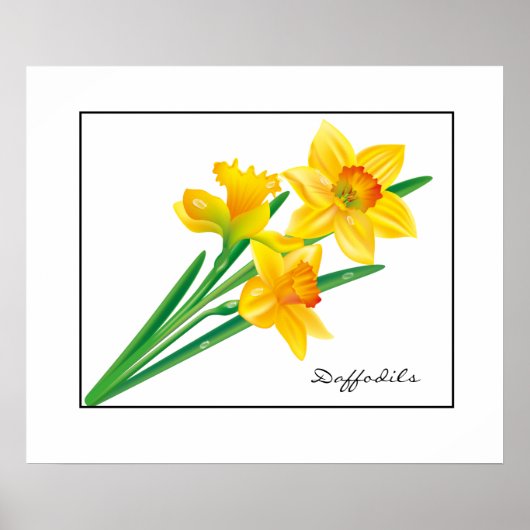 Poster-Daffodils Poster (Voorkant)