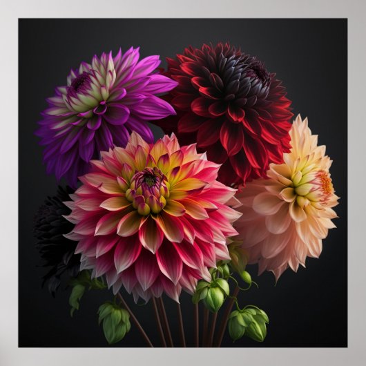 Poster Dahlia Flowers (Voorkant)