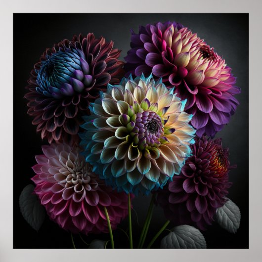 Poster Dahlia Flowers (Voorkant)