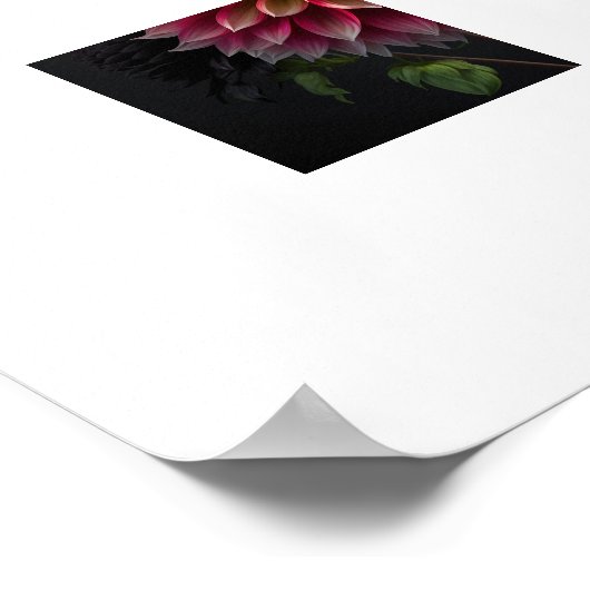 Poster Dahlia Flowers (Hoek)