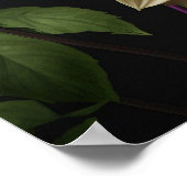 Poster Dahlia Flowers (Hoek)