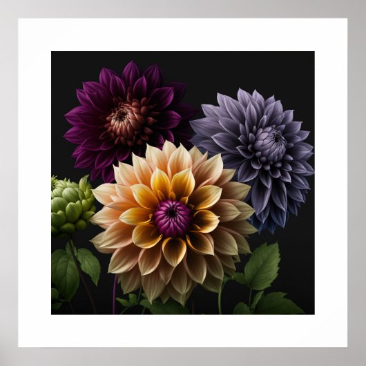 Poster Dahlia Flowers (Voorkant)