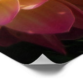 Poster-Dahlias Poster (Hoek)