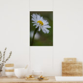 Poster Daisy Bloem Natuur Fotografie (Keuken)
