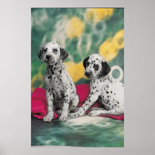Poster Dalmatische Puppies (Voorkant)