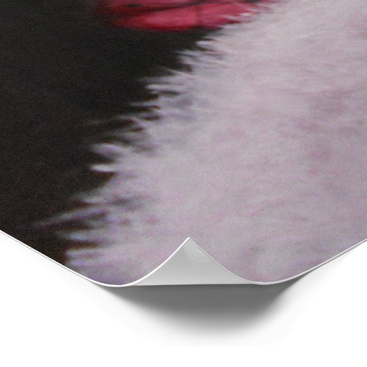 Poster/dame van intriges poster (Hoek)