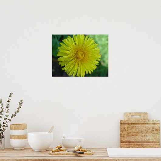 Poster - Dandelion (Keuken)
