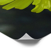 Poster - Dandelion (Hoek)