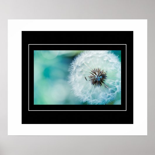 Poster-Dandelion Poster (Voorkant)