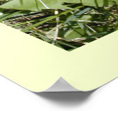 poster "Dandelions zijn bloemen" (Hoek)