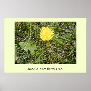 poster "Dandelions zijn bloemen"