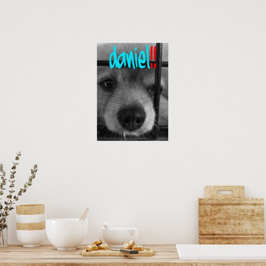 poster_daniel! poster (Keuken)