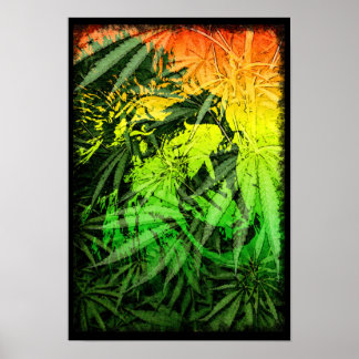 Poster das cores do reggae com leão e natureza