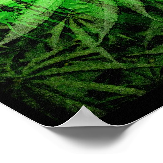 Poster das cores do reggae com leão e natureza (Hoek)