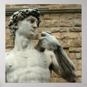 Poster David 1 van Michelangelo