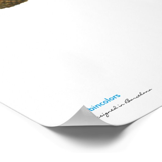 Póster de Camaleón Poster (Hoek)