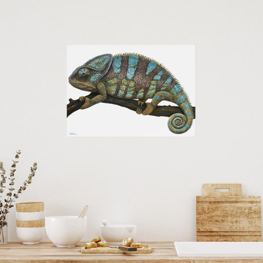 Póster de Camaleón Poster (Keuken)